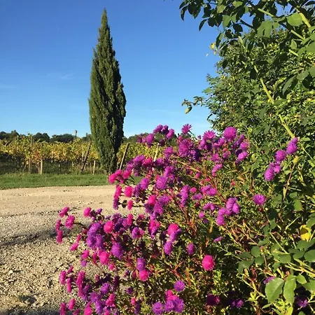 La Girondelle - 2 Au Coeur Du Vignoble Maison d'hôtes 3*
