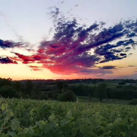 La Girondelle - 2 Au Coeur Du Vignoble Maison d'hôtes Plassac (Gironde)
