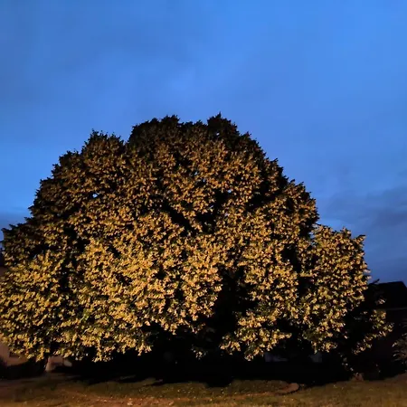 La Girondelle - 2 Au Coeur Du Vignoble Plassac (Gironde)