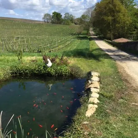 La Girondelle - 2 Au Coeur Du Vignoble Plassac