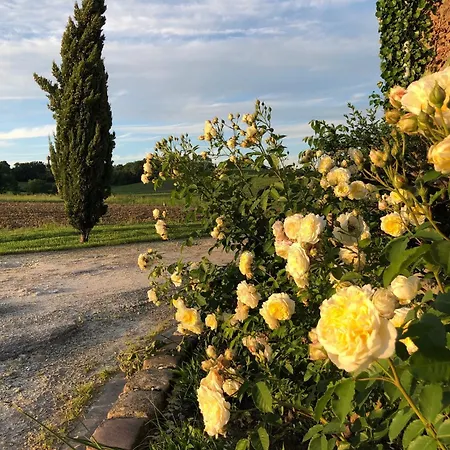 La Girondelle - 2 Au Coeur Du Vignoble 3*